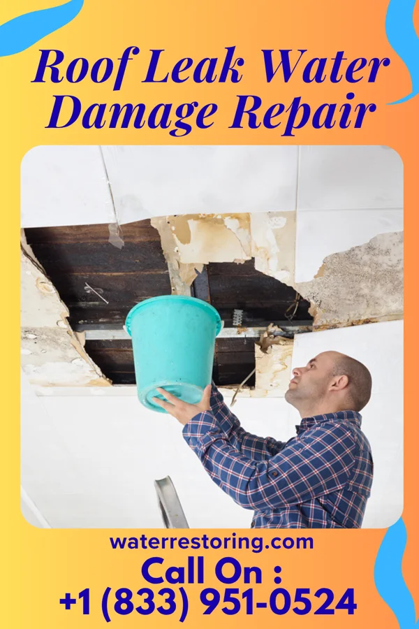 Roof Leak Water Damage Repair in Goddard, KS